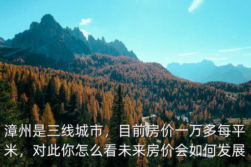 漳州是三線城市，目前房價一萬多每平米，對此你怎么看未來房價會如何發(fā)展