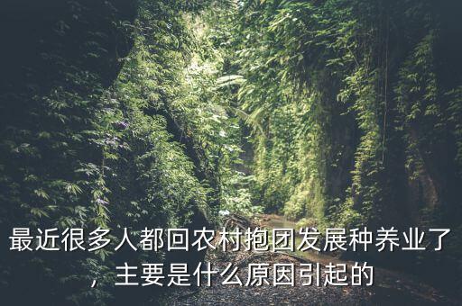 最近很多人都回農村抱團發(fā)展種養(yǎng)業(yè)了，主要是什么原因引起的