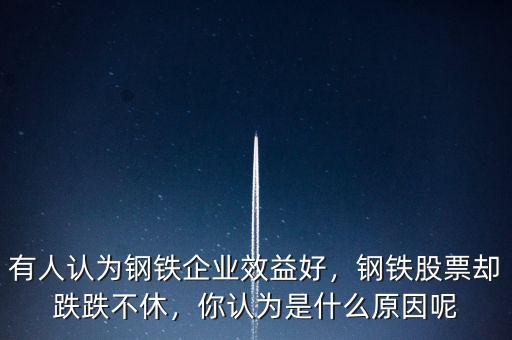 有人認(rèn)為鋼鐵企業(yè)效益好，鋼鐵股票卻跌跌不休，你認(rèn)為是什么原因呢