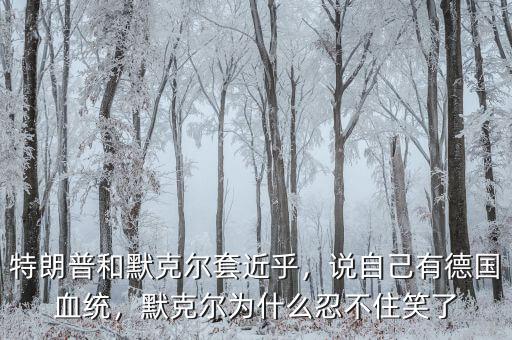 特朗普和默克爾套近乎，說自己有德國(guó)血統(tǒng)，默克爾為什么忍不住笑了