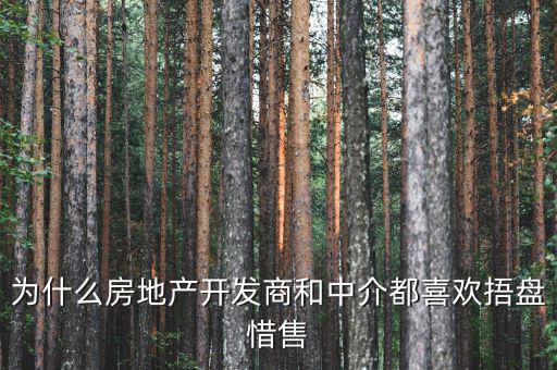 為什么房地產(chǎn)開(kāi)發(fā)商和中介都喜歡捂盤惜售