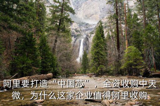 阿里要打造“中國(guó)芯”，全資收購(gòu)中天微，為什么這家企業(yè)值得阿里收購(gòu)