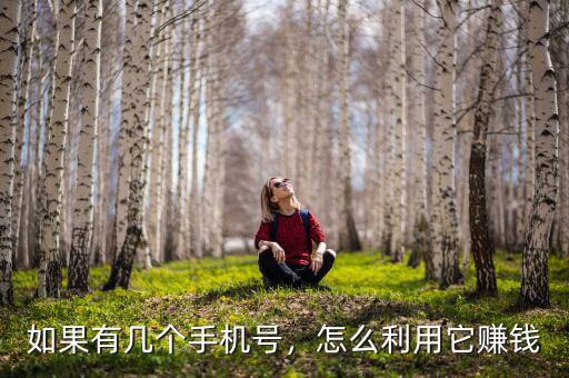 如果有幾個(gè)手機(jī)號(hào)，怎么利用它賺錢(qián)