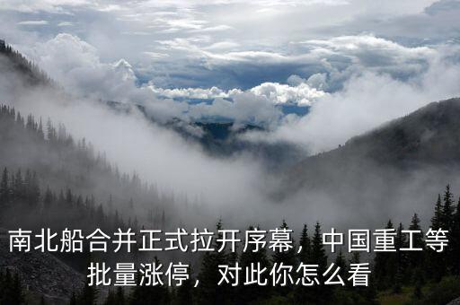 南北船合并正式拉開(kāi)序幕，中國(guó)重工等批量漲停，對(duì)此你怎么看