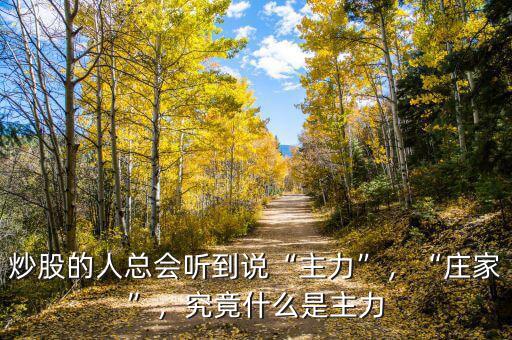 炒股的人總會聽到說“主力”，“莊家”，究竟什么是主力