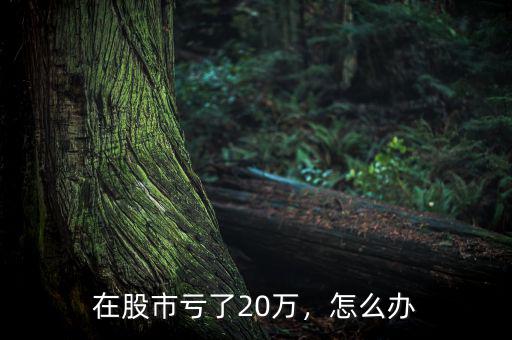 在股市虧了20萬，怎么辦