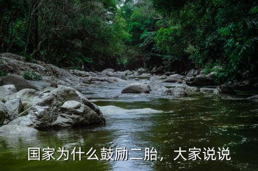 國家為什么鼓勵二胎，大家說說