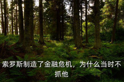 索羅斯制造了金融危機(jī)，為什么當(dāng)時(shí)不抓他