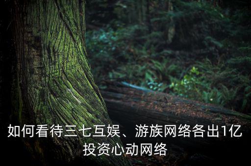 如何看待三七互娛、游族網(wǎng)絡(luò)各出1億投資心動網(wǎng)絡(luò)