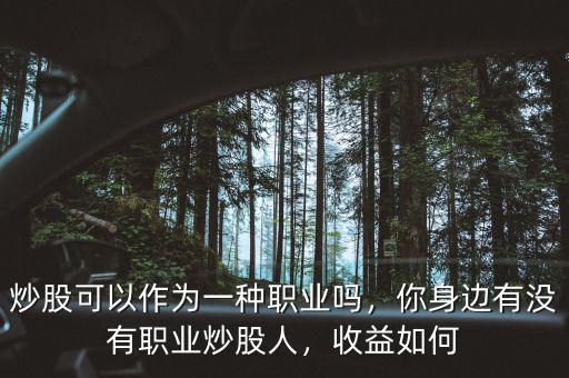 炒股可以作為一種職業(yè)嗎，你身邊有沒有職業(yè)炒股人，收益如何