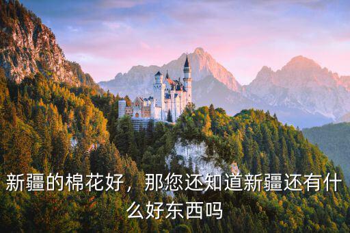 新疆的棉花好，那您還知道新疆還有什么好東西嗎