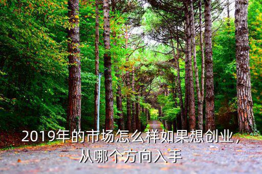 2019年的市場怎么樣如果想創(chuàng)業(yè)，從哪個方向入手