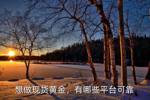 想做現(xiàn)貨黃金，有哪些平臺(tái)可靠