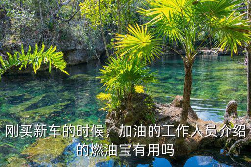 剛買新車的時(shí)候，加油的工作人員介紹的燃油寶有用嗎