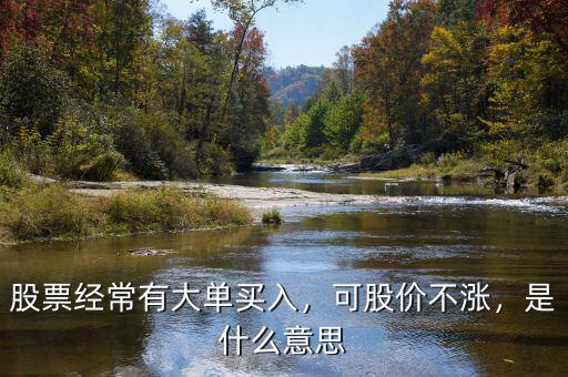 股票經(jīng)常有大單買入，可股價(jià)不漲，是什么意思