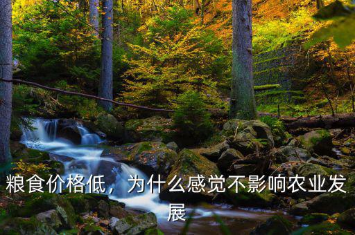 糧食價格低，為什么感覺不影響農(nóng)業(yè)發(fā)展
