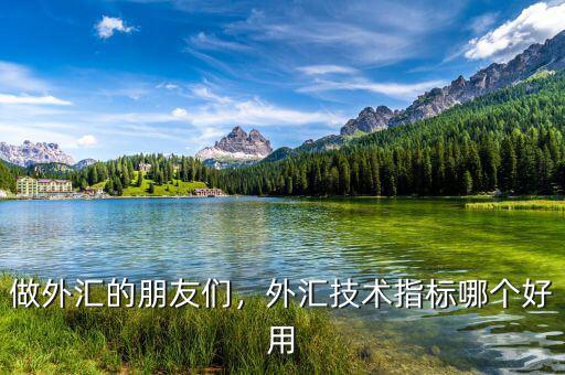 做外匯的朋友們，外匯技術指標哪個好用