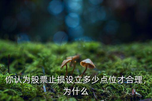 你認(rèn)為股票止損設(shè)立多少點(diǎn)位才合理，為什么