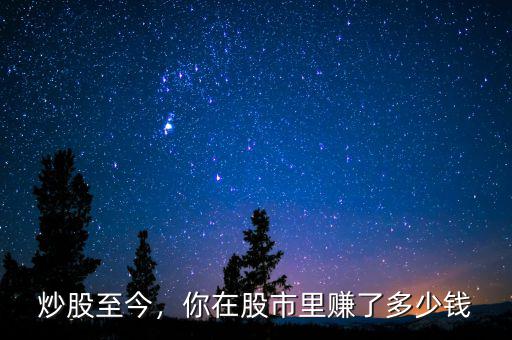 炒股至今，你在股市里賺了多少錢