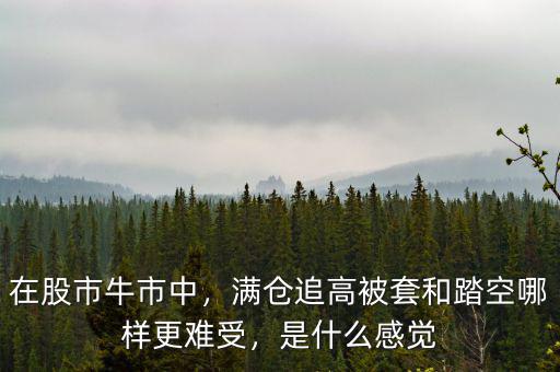 在股市牛市中，滿倉追高被套和踏空哪樣更難受，是什么感覺