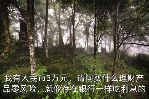 我有人民幣3萬(wàn)元，請(qǐng)問(wèn)買什么理財(cái)產(chǎn)品零風(fēng)險(xiǎn)，就像存在銀行一樣吃利息的