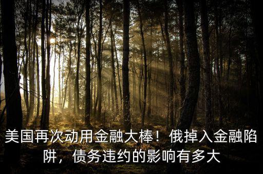 美國再次動用金融大棒！俄掉入金融陷阱，債務(wù)違約的影響有多大