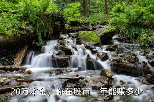 20萬(wàn)本金，你在股市一年能賺多少
