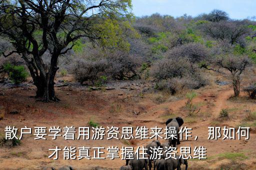 散戶要學著用游資思維來操作，那如何才能真正掌握住游資思維