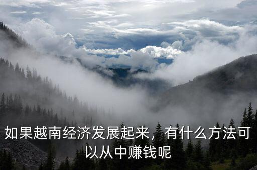 如果越南經(jīng)濟(jì)發(fā)展起來(lái)，有什么方法可以從中賺錢(qián)呢
