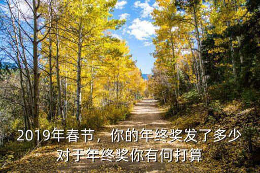 2019年春節(jié)，你的年終獎發(fā)了多少對于年終獎你有何打算