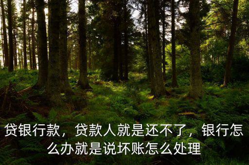 貸銀行款，貸款人就是還不了，銀行怎么辦就是說壞賬怎么處理
