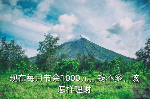 現(xiàn)在每月節(jié)余1000元，錢不多，該怎樣理財(cái)