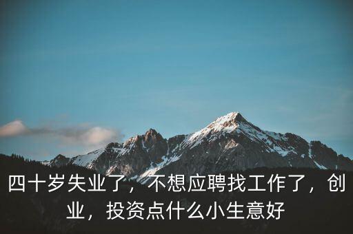 四十歲失業(yè)了，不想應(yīng)聘找工作了，創(chuàng)業(yè)，投資點(diǎn)什么小生意好