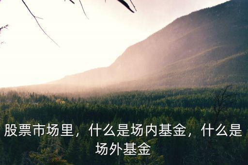 股票市場里，什么是場內(nèi)基金，什么是場外基金