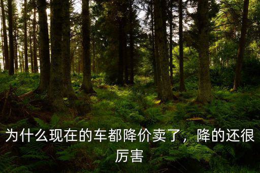 為什么現(xiàn)在的車都降價(jià)賣了，降的還很厲害