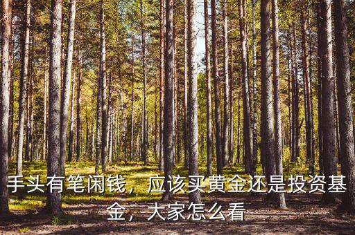 手頭有筆閑錢，應該買黃金還是投資基金，大家怎么看