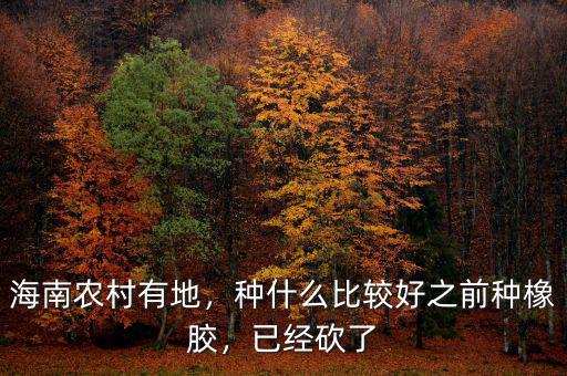海南農(nóng)村有地，種什么比較好之前種橡膠，已經(jīng)砍了