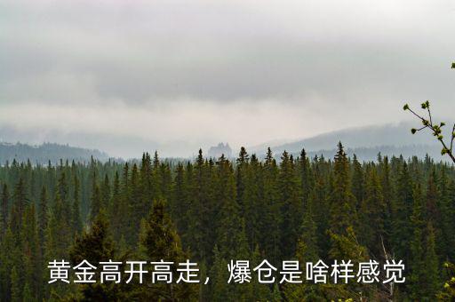 黃金高開高走，爆倉是啥樣感覺