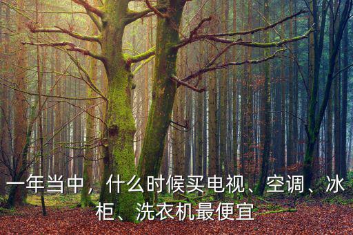 一年當(dāng)中，什么時(shí)候買電視、空調(diào)、冰柜、洗衣機(jī)最便宜