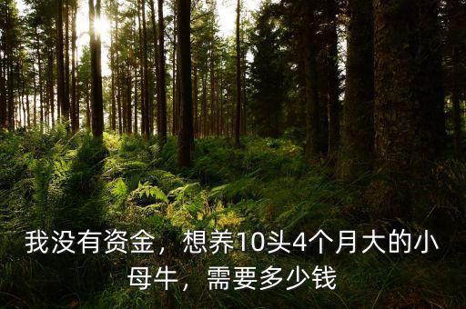 我沒有資金，想養(yǎng)10頭4個月大的小母牛，需要多少錢
