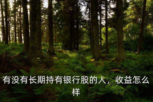 有沒(méi)有長(zhǎng)期持有銀行股的人，收益怎么樣