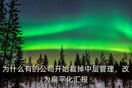 為什么有的公司開始裁掉中層管理，改為扁平化匯報