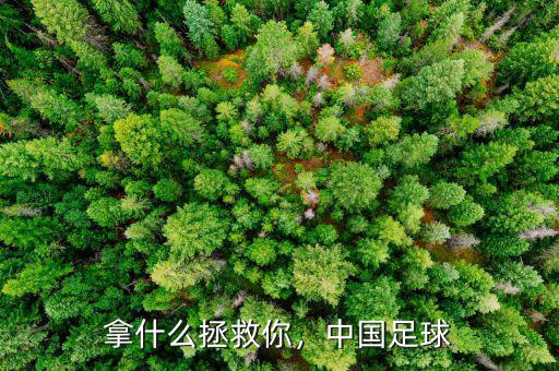 拿什么拯救你，中國足球