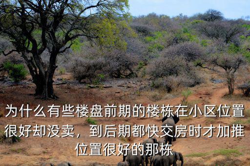 為什么有些樓盤前期的樓棟在小區(qū)位置很好卻沒賣，到后期都快交房時才加推位置很好的那棟