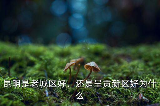 昆明是老城區(qū)好，還是呈貢新區(qū)好為什么