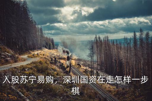 入股蘇寧易購，深圳國資在走怎樣一步棋