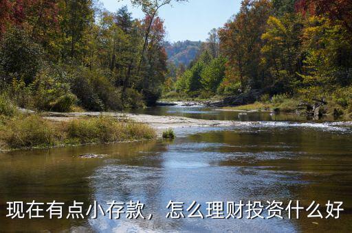 現(xiàn)在有點(diǎn)小存款，怎么理財(cái)投資什么好