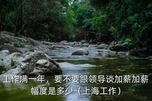 工作滿一年，要不要跟領(lǐng)導(dǎo)談加薪加薪幅度是多少（上海工作）
