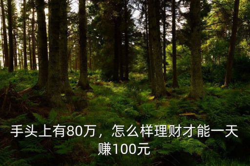 手頭上有80萬，怎么樣理財才能一天賺100元