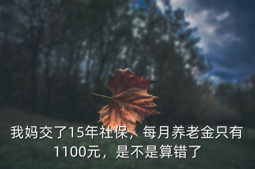 我媽交了15年社保，每月養(yǎng)老金只有1100元，是不是算錯(cuò)了